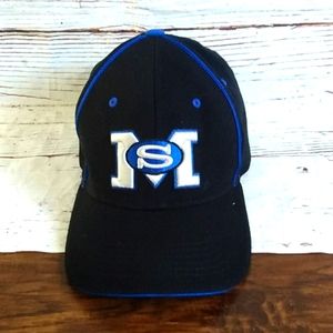 Panthers hat